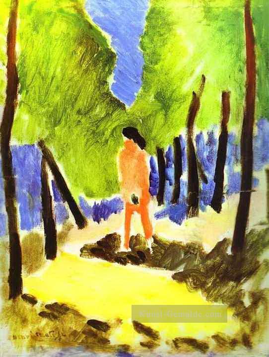 Akt in Sonnenlicht Landschaft abstrakte fauvism Henri Matisse Ölgemälde